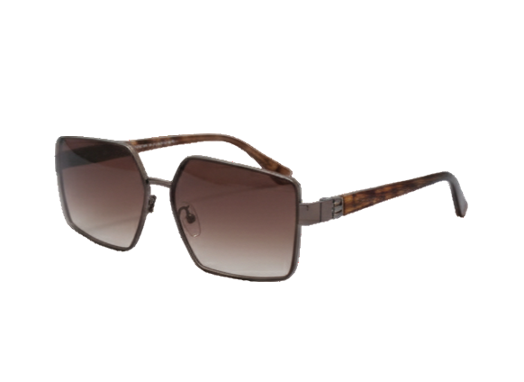 Tortoise Arms Metal Frame